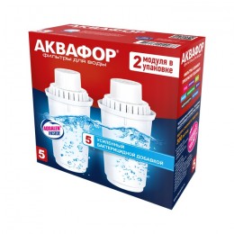 Сменный модуль В5 (В100-5) защита от бактерий (комплект из 2-х штук) в Любиме